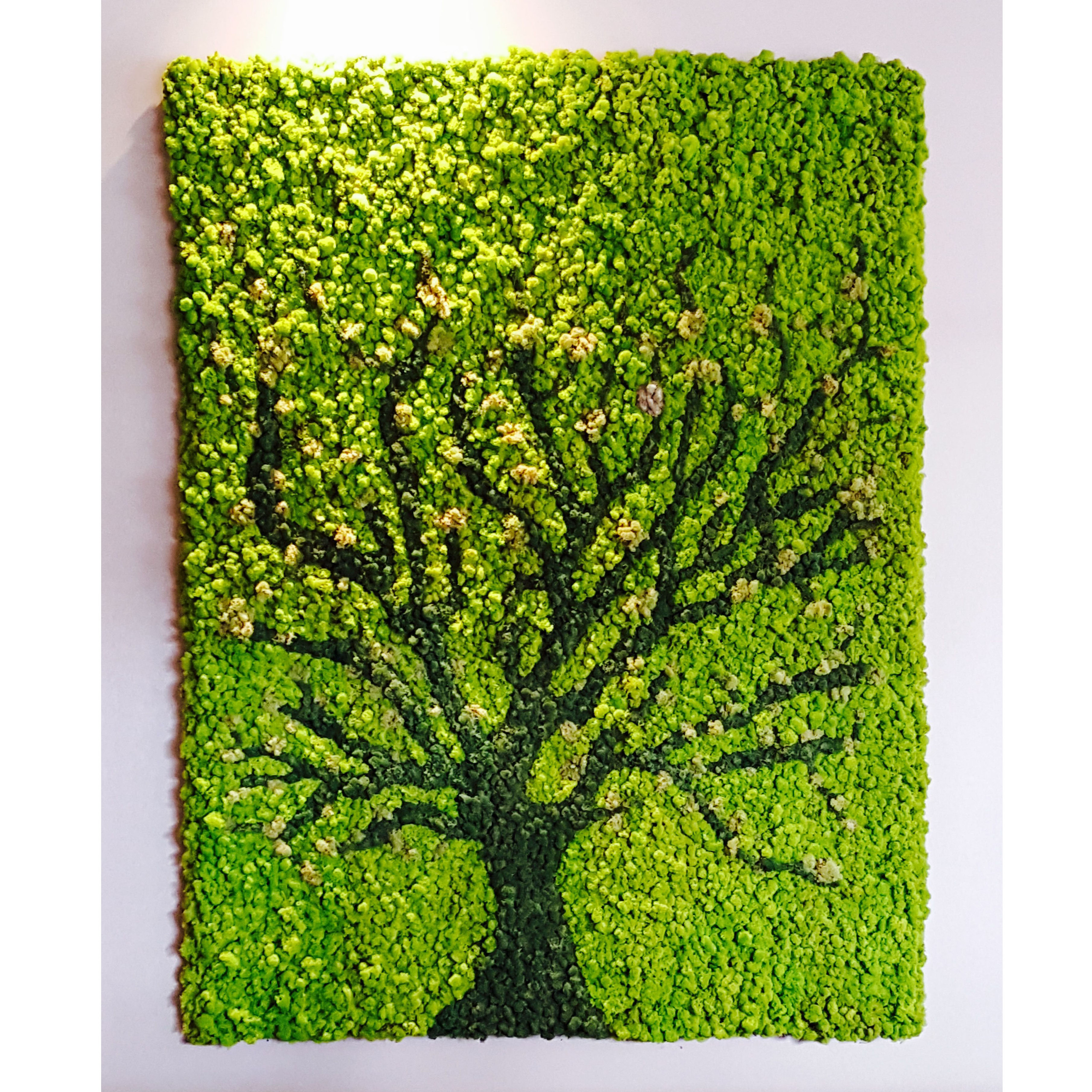 Wholesale Customized Office Decoration 3D Real Natural Preserved Moss Wall Art