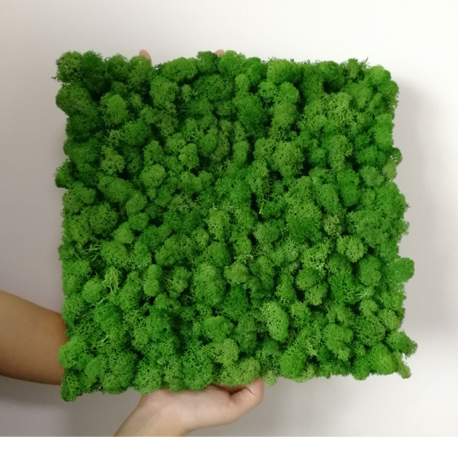 Yunnan factory wall green moss wall art panels preserved forest moss decorative preserved artificial moss wall panel