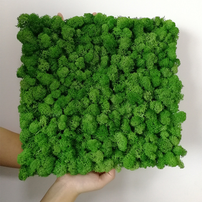 Kunming factory Wholesale house decoration preserved moss artificial moss grass panel