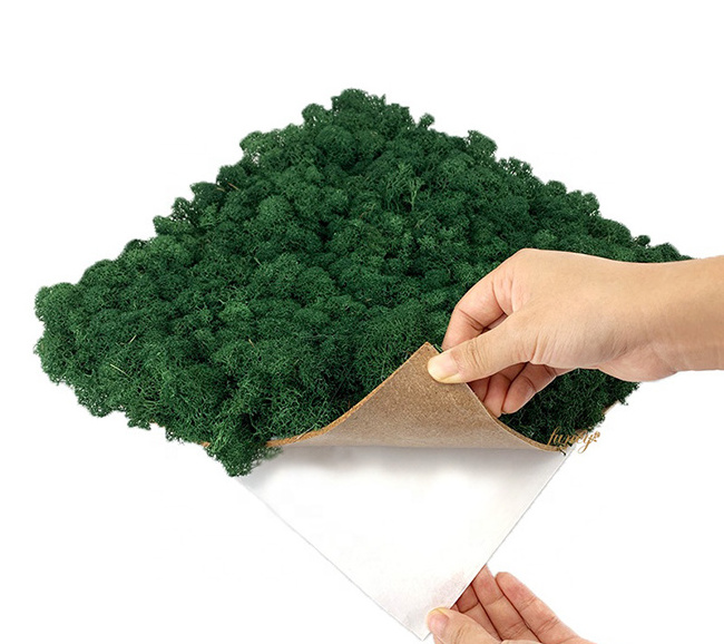 Kunming factory Wholesale house decoration preserved moss artificial moss grass panel