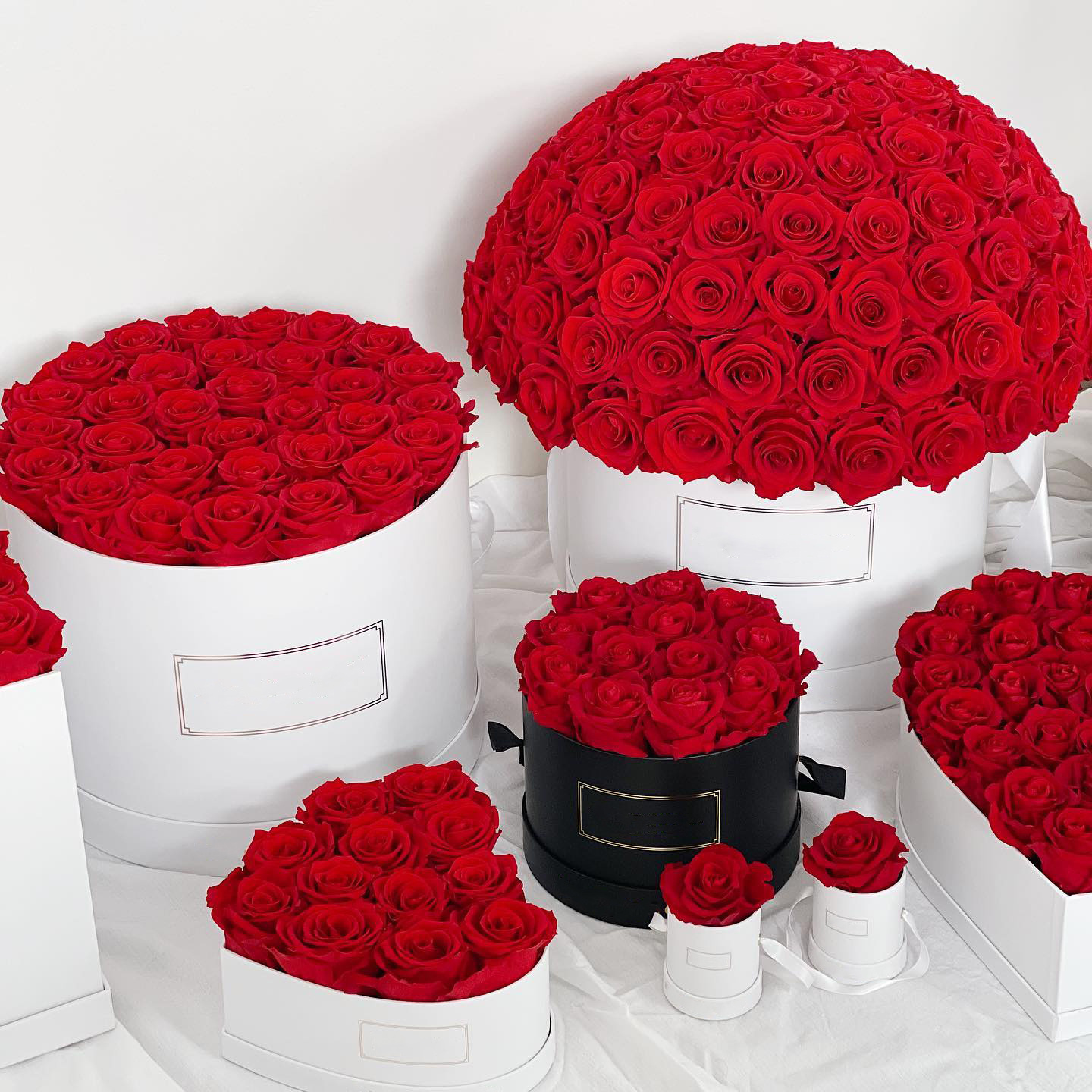 Eternal roses preserved flowers rosas eternas preservadas 2024 decorative rose forever box gift preserved roses