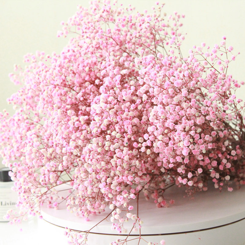 gypsophila bouquet Preserved babys breath flowers white color dried flowers baby s breathe for wedding or house decoration