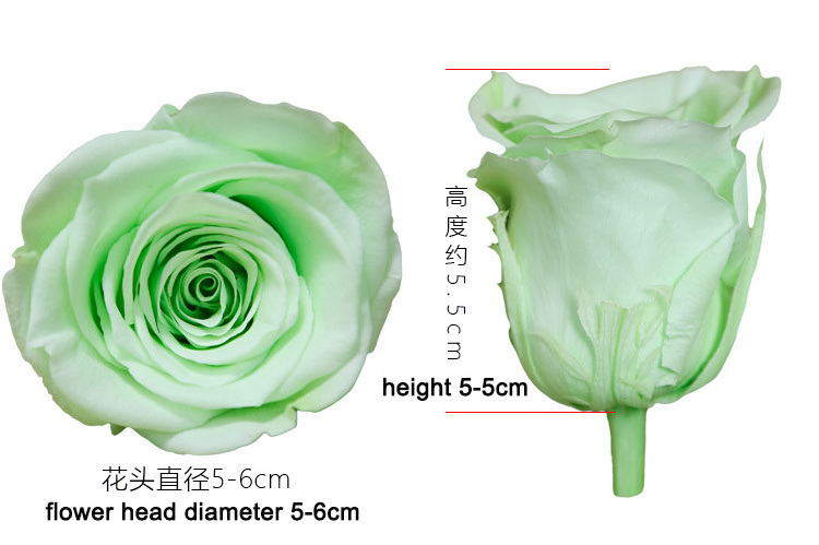 Factory supply Wholesale flores secas flores preservadas caja cabeza de rosa eterna mew technology preserved roses