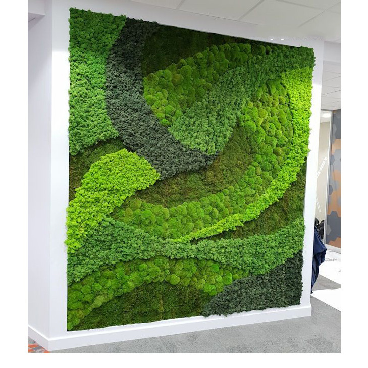 Wholesale Customized Office Decoration 3D Real Natural Preserved Moss Wall Art