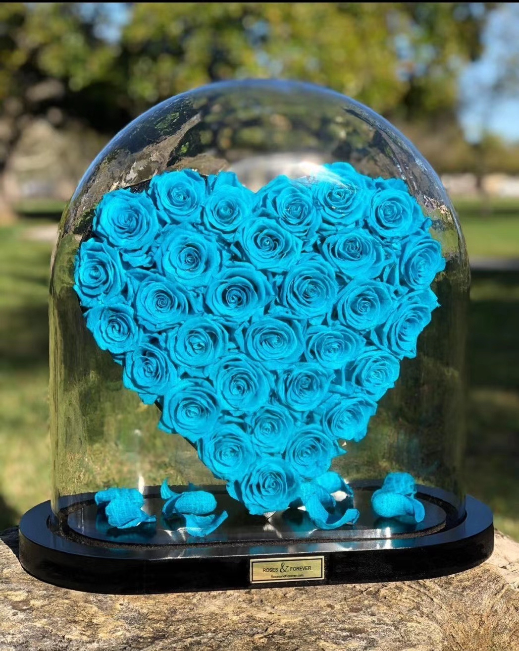 New Product 2023 Valentine day Gifts Heart shape rose box eternal rose box luxury glass dome big heart everlasting rose