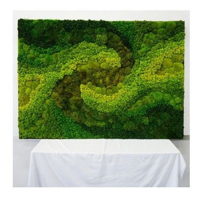 Wholesale Customized Office Decoration 3D Real Natural Preserved Moss Wall Art