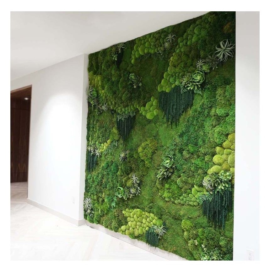 Wholesale Customized Office Decoration 3D Real Natural Preserved Moss Wall Art