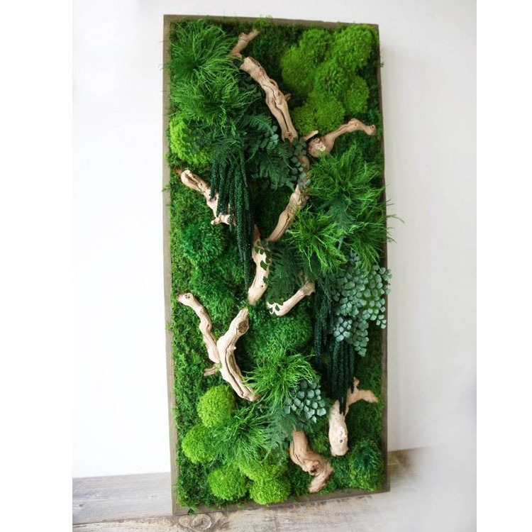 Natural Green Wall Decor FuncyFlora 500g Package Preserved Natural Moss Christmas decoration 2023