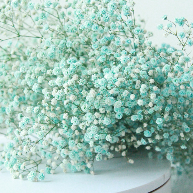 gypsophila bouquet Preserved babys breath flowers white color dried flowers baby s breathe for wedding or house decoration