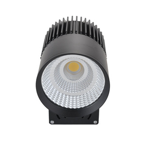 Business 50W COB LED track spot light with 2 3 4 pins adapter.LED track light LED COB track spot light