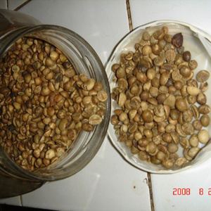 coffee beans from indonesia is the best price and quality