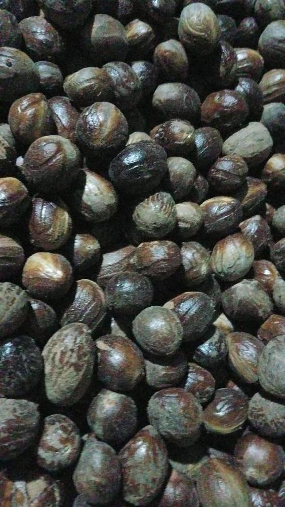 Nutmeg with Shell. Good Quality and Good Price