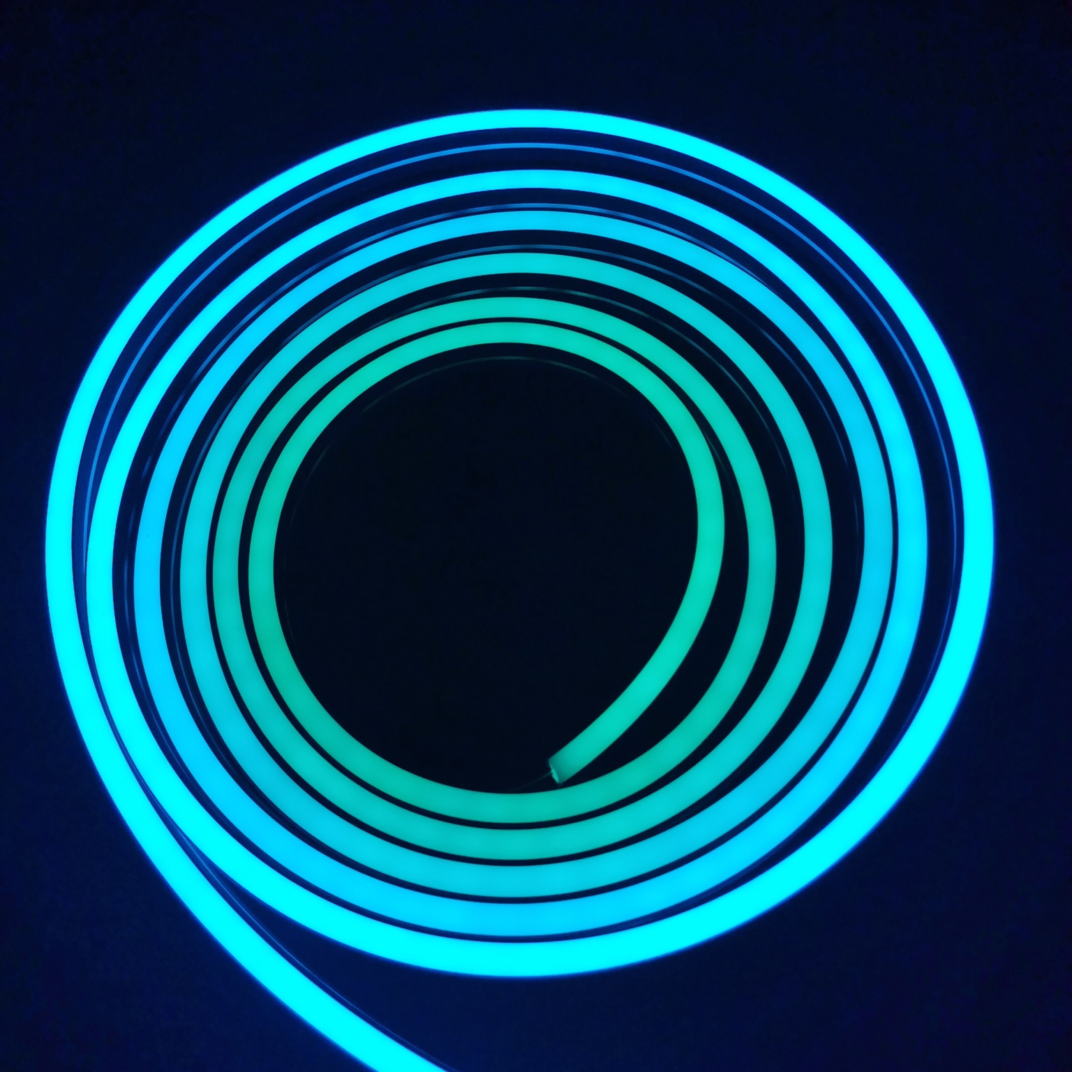 Wholesale Smart Neon Flex 24V Outdoor 5050 RGB Addressable with IC Waterproof LED Neon Flexible Strip