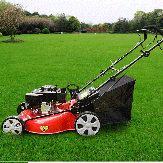 24V500W small lawn mower DC motor