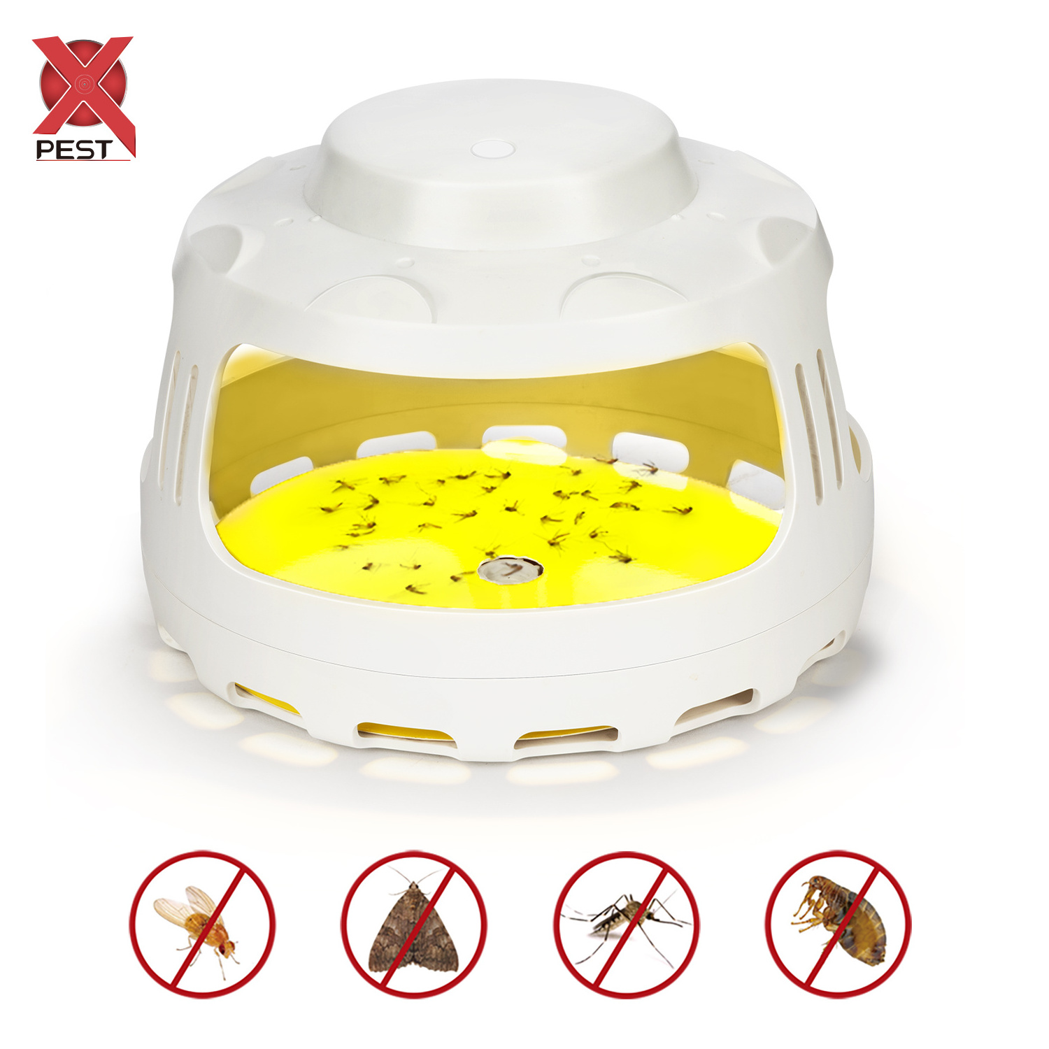 X-Pest indoor fruit fly catcher electronic fleas moths bugs fly trap killer kitchen electric insects  killer trap