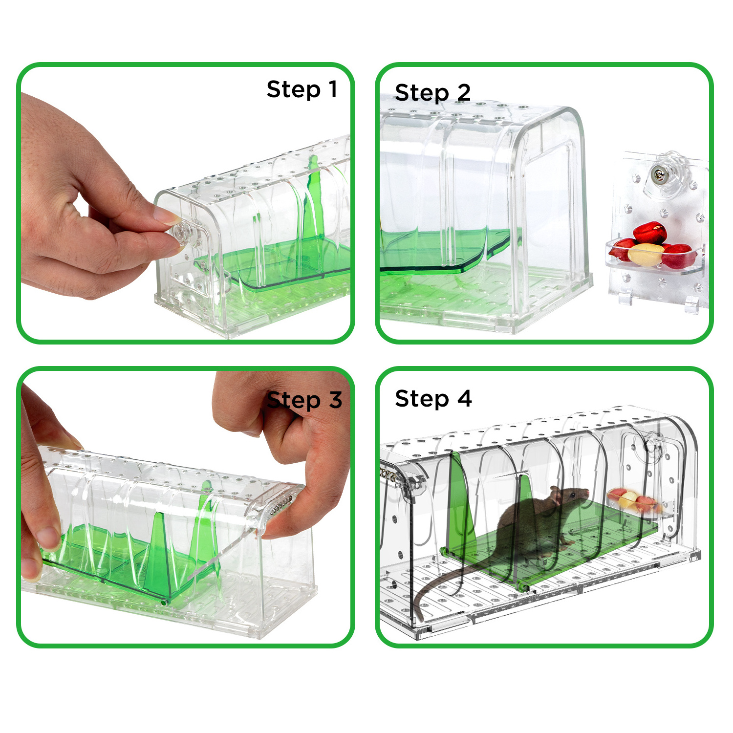 Reusable No Kill Mouse Trap  Humane Live Mouse Cage Transparent Noise-Free Reusable Mouse Trap Cage Indoor