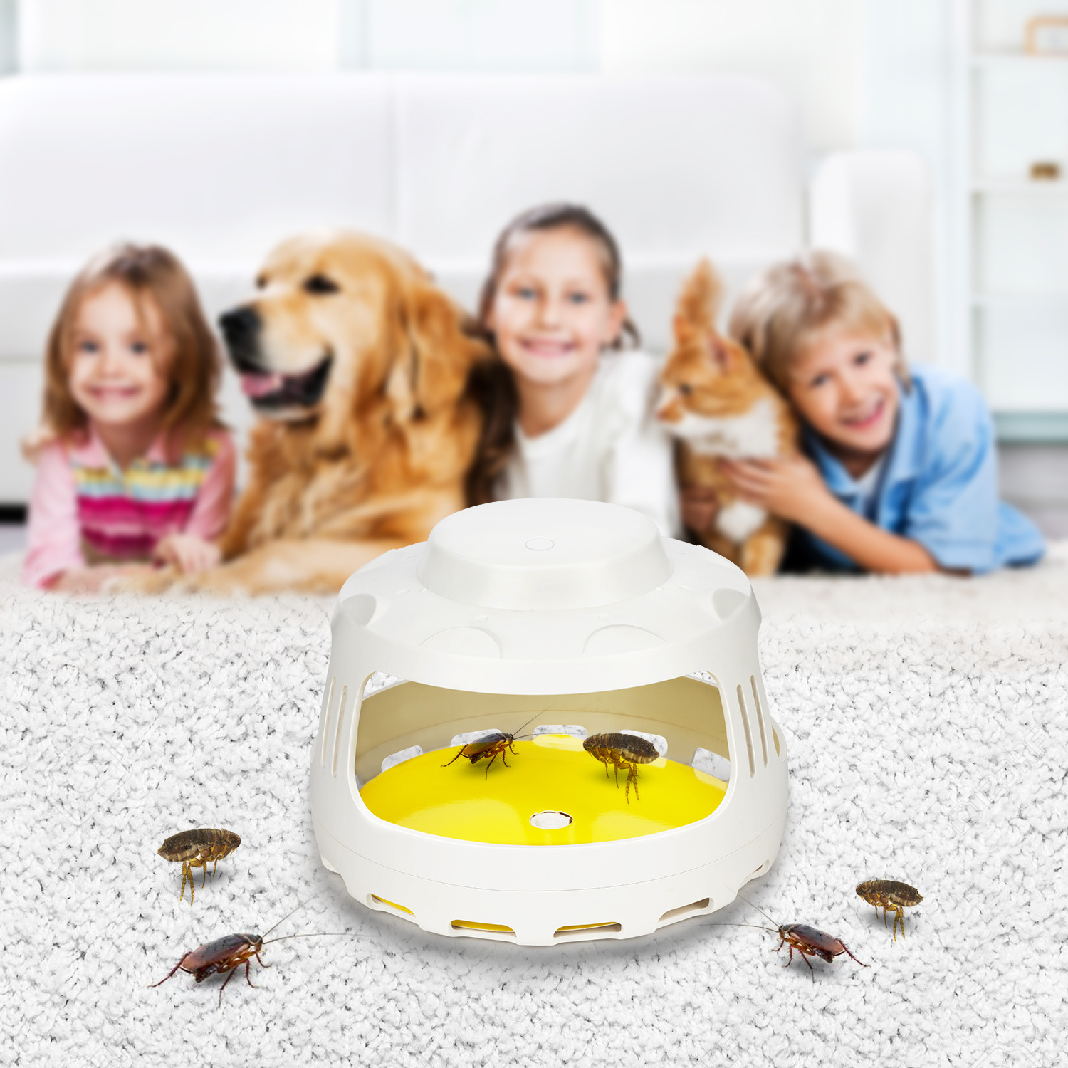 X-Pest Bed Bug Traps Interceptors Strong Adhesive Board Fly Catcher USB Automatic electric pest catcher fly catcher fly trap