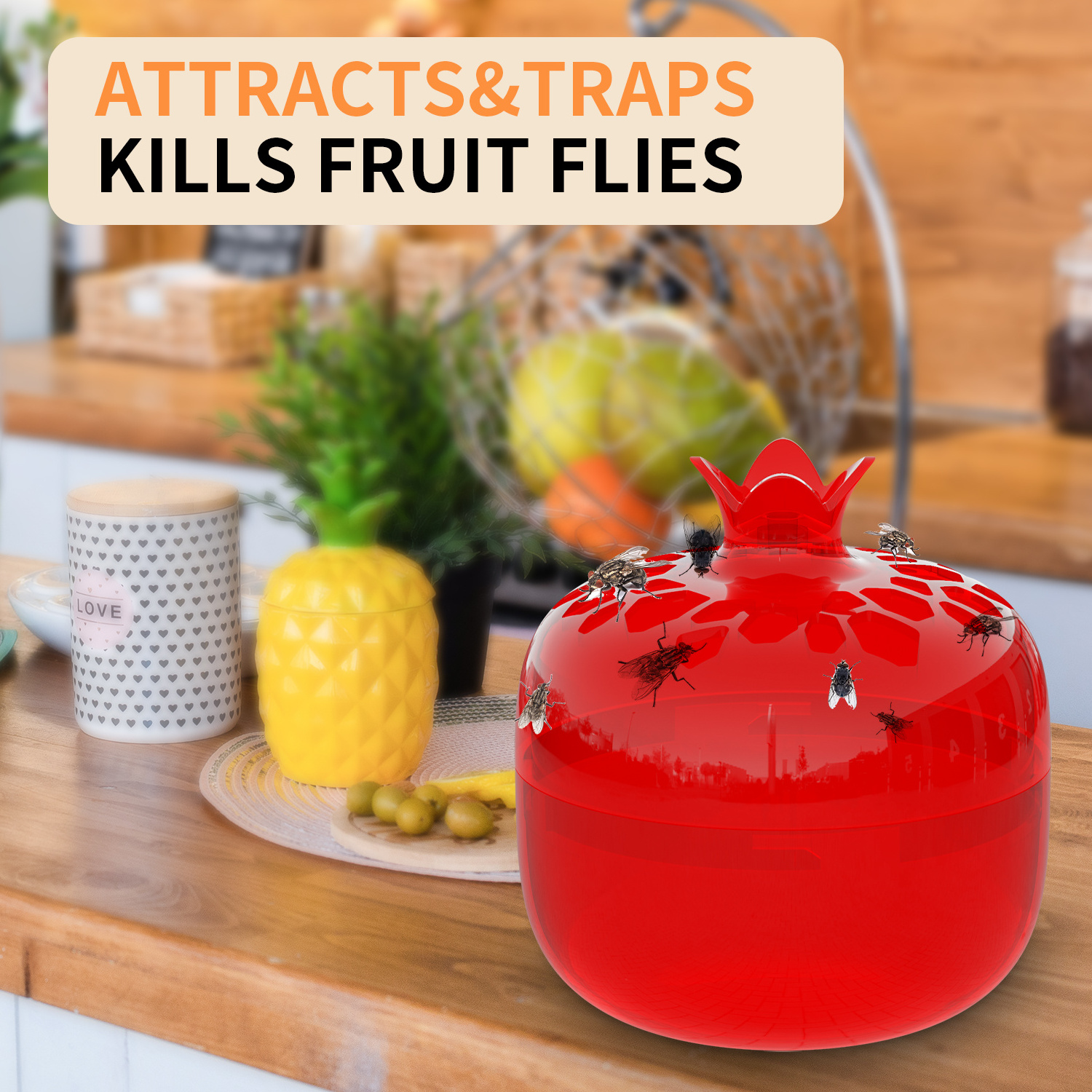 X-Pest innovative funnel-shaped holes fruit fly traps convenient automatic fruit fly trap sustainable fruit fly live trap indoor