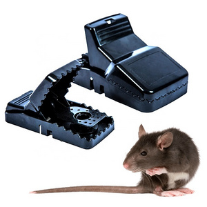 Hot Mouse Trap Sale Large Volume Mouse Glue Dispenser Mouse Trap Killer Rat Making