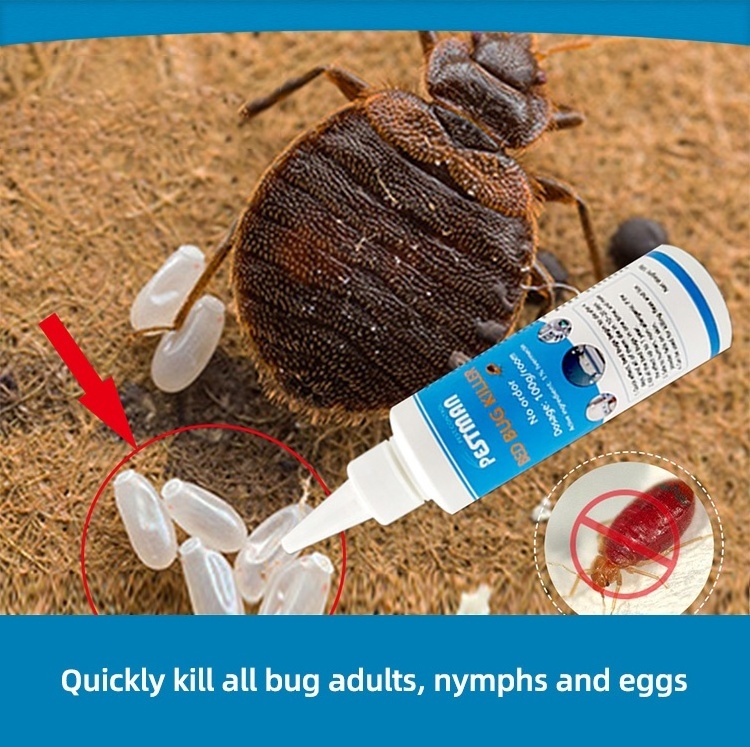 Bed Bug PowderIindoor Bed Bugs Louse Killer The Valid Period Is More Than Two Year