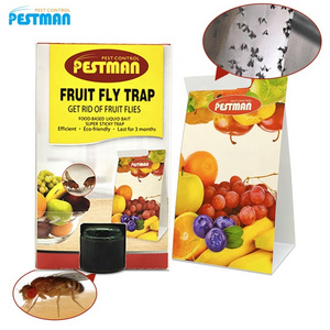 Terro Ready-to-Use indoor fruit fly catcher killer trap for kitchen