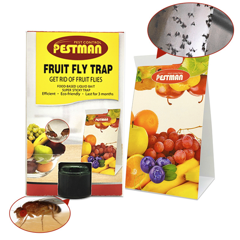 Apple fruit fly attractant bait trap for indoors pineapple with drosophila glue trap