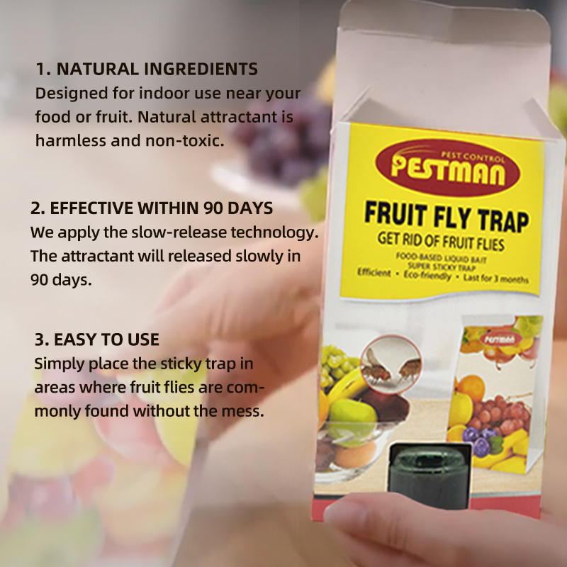 Terro Ready-to-Use indoor fruit fly catcher killer trap for kitchen