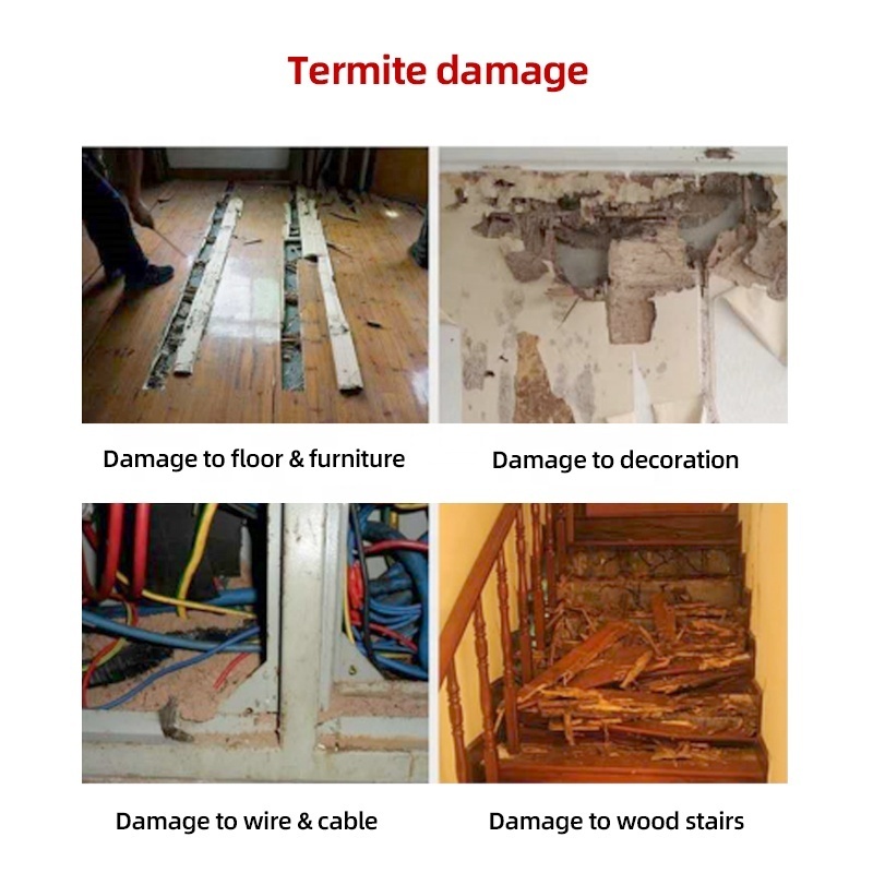 Termite Powder Bait Station,Protect Furniture From Termites