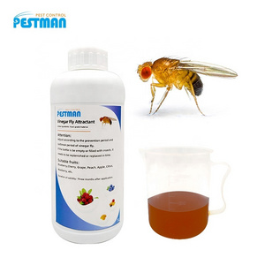 Effective Fruit Fly Traps Small Fruit Fly Killer For Orchard New Products