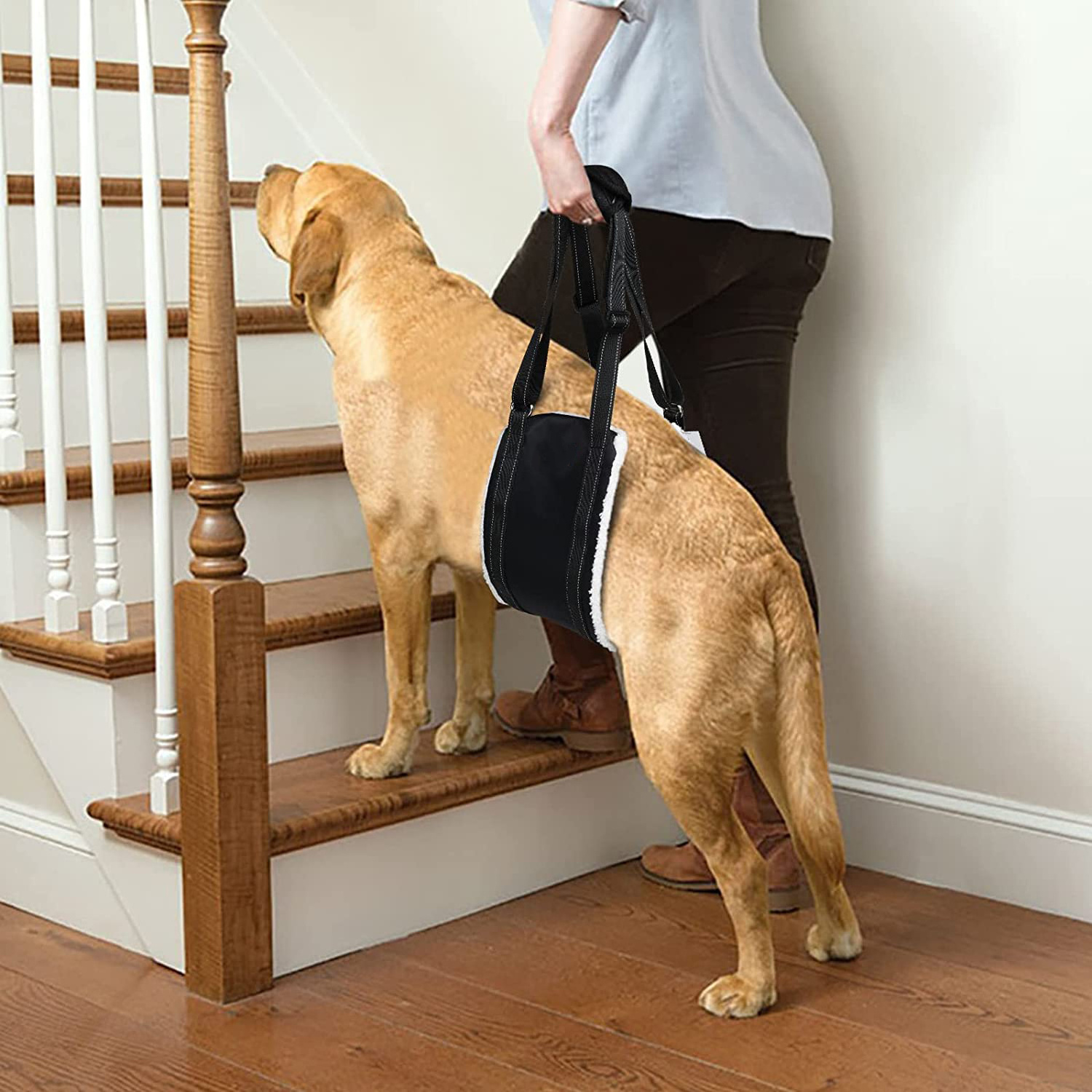 Portable Dog Sling for Back Legs Hip Support Harness to Help Lift Rear for Canine Aid Old K9 Cruciate Ligament Rehabilitation