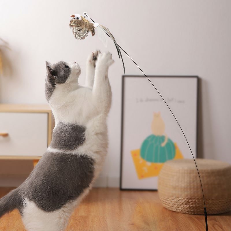 Dropshipping Long Rod Feather Bird Funny Cat Stick Suction Cup Bell Cat Teaser Pet Toy Bird Interactive Toy