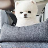 Safety Pet Car Booster Seat Dog Front Protect Durable Travel Car Seat modern simple design for Small Medium Pets