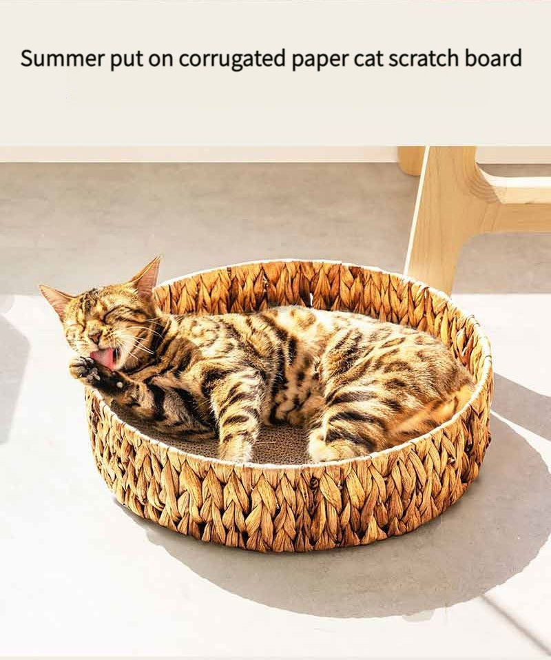 Comfortable Luxury Cute Small Dogs Pet Cat Scratching Board Nest Round Bed House for Indoor Cats Waterproof Plastic PS OEM ODM