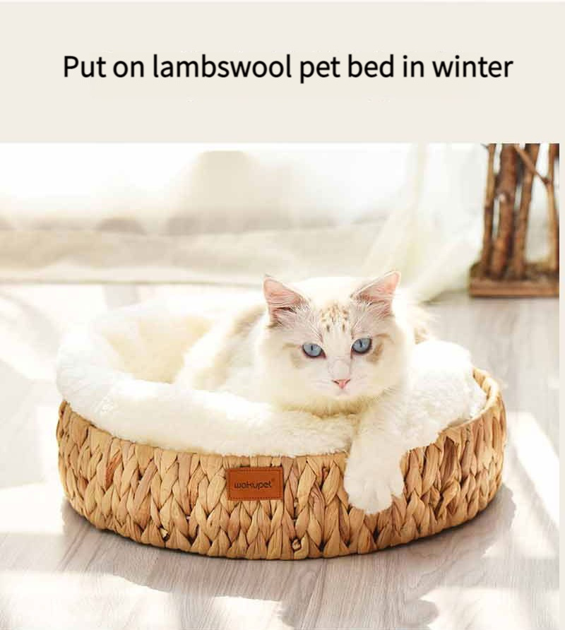 Comfortable Luxury Cute Small Dogs Pet Cat Scratching Board Nest Round Bed House for Indoor Cats Waterproof Plastic PS OEM ODM