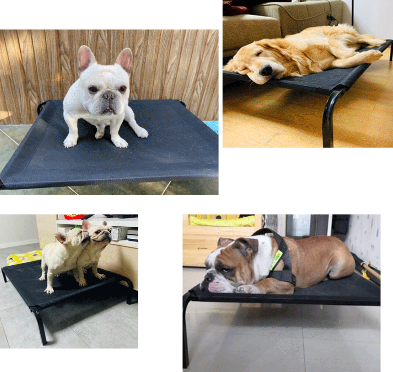 Indoor Outdoor Large Dogs Portable Pet Hammock Bed with Skid-Resistant Feet Frame Breathable Mesh Dog Cot Bed