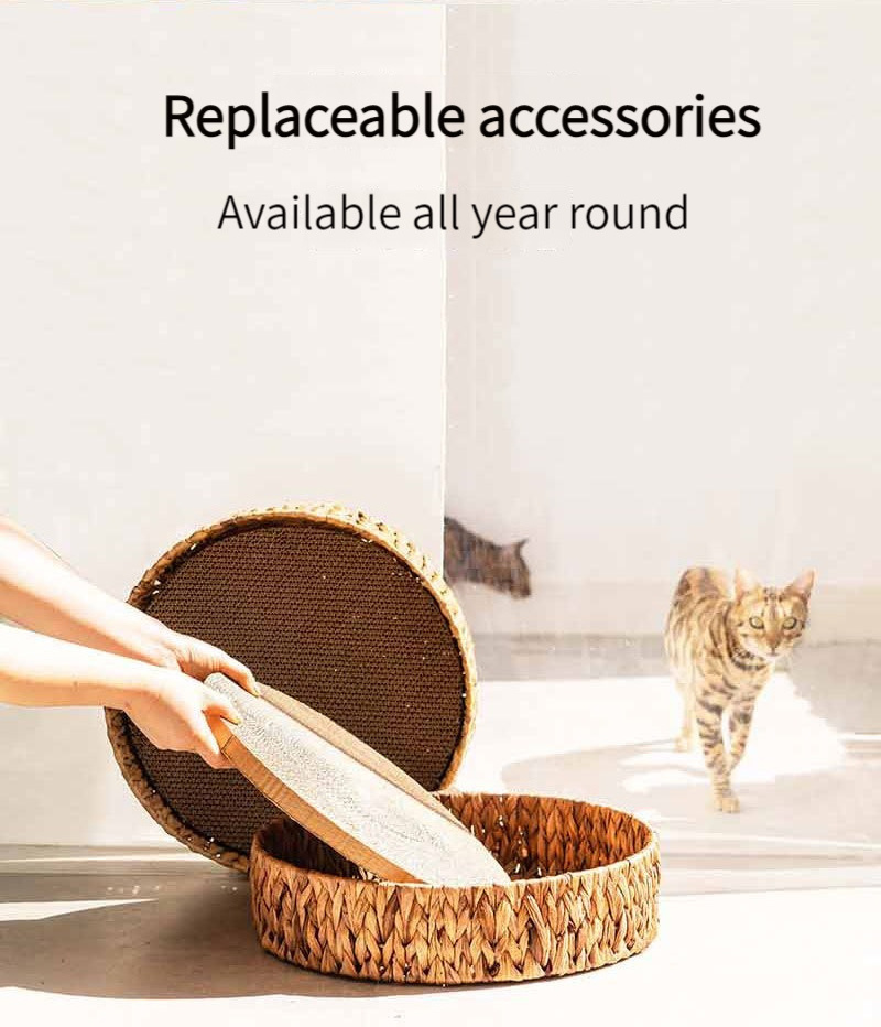 Comfortable Luxury Cute Small Dogs Pet Cat Scratching Board Nest Round Bed House for Indoor Cats Waterproof Plastic PS OEM ODM