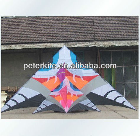 10m delta kites