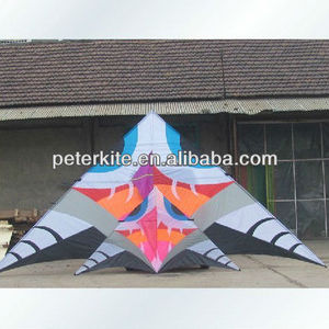 10m delta kites