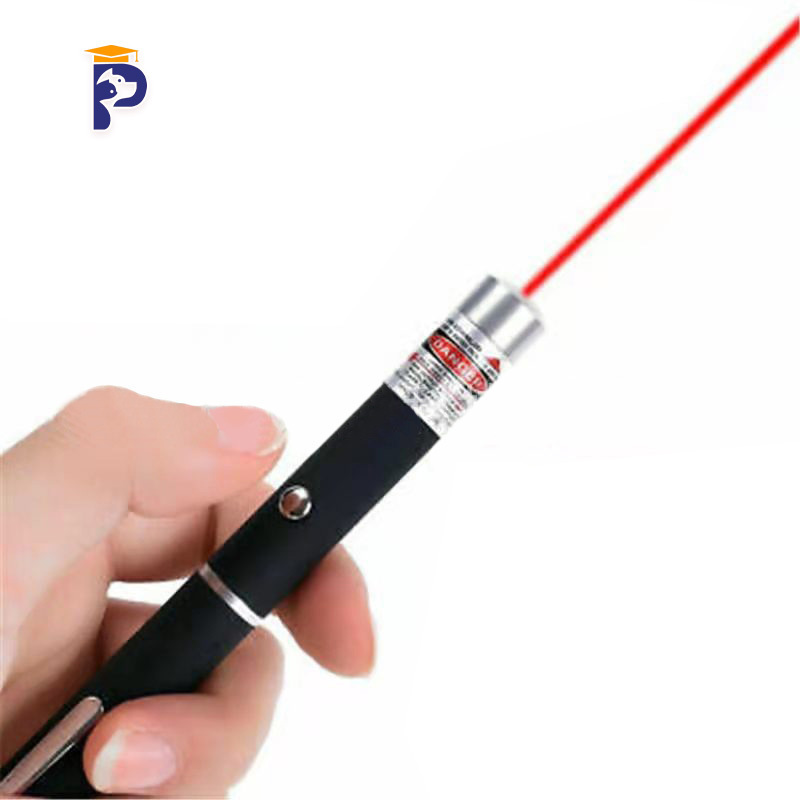 Laser light 303 Katzenspielzeug laserpointer laser para gatos green laser pointer for cats