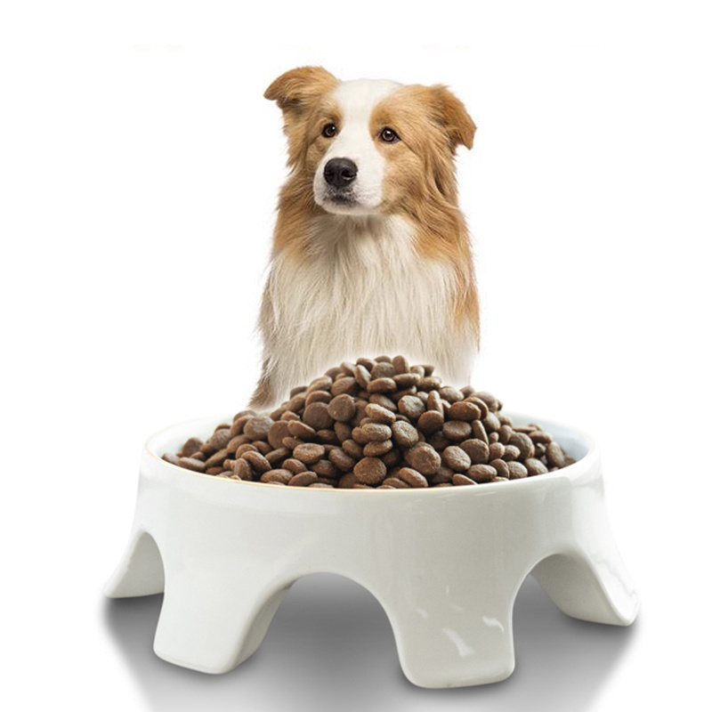 Wholesale high quality pet treats and food Care for the stomach Full Nutritional Puppy Dog Dry Food