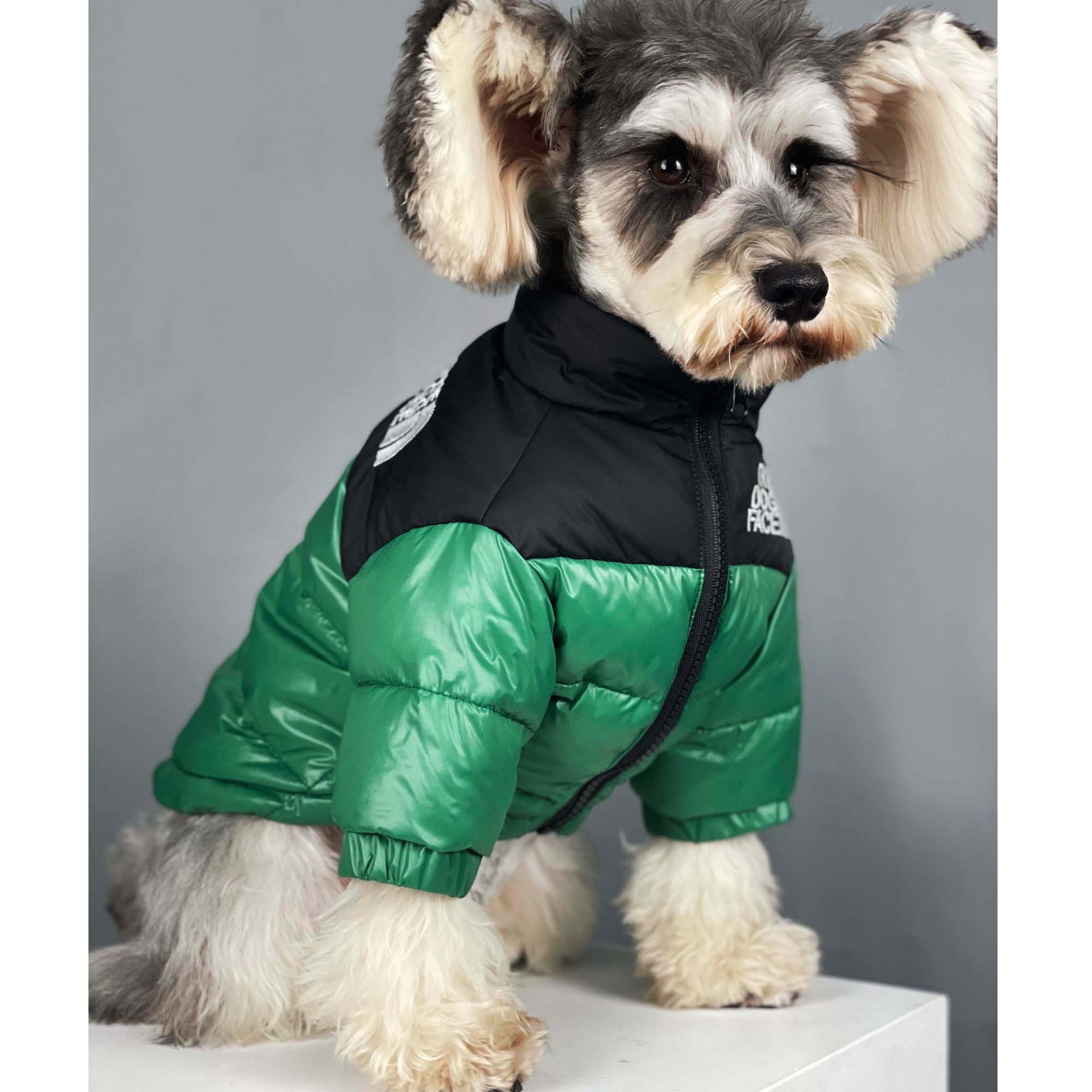 Winter French Bulldog Coat Pet Dog Designer Clothes for Small Dogs Clothing Down Jacket Dog Accessories