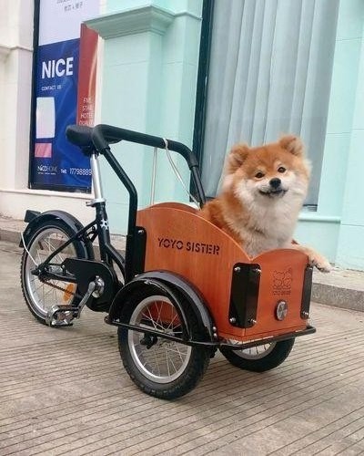 2023 New Dog Stroller For Large Dogs Outdoor Pet Stroller Cute Dog Pet Trolley Cargo Trolley Kids' Tricycles