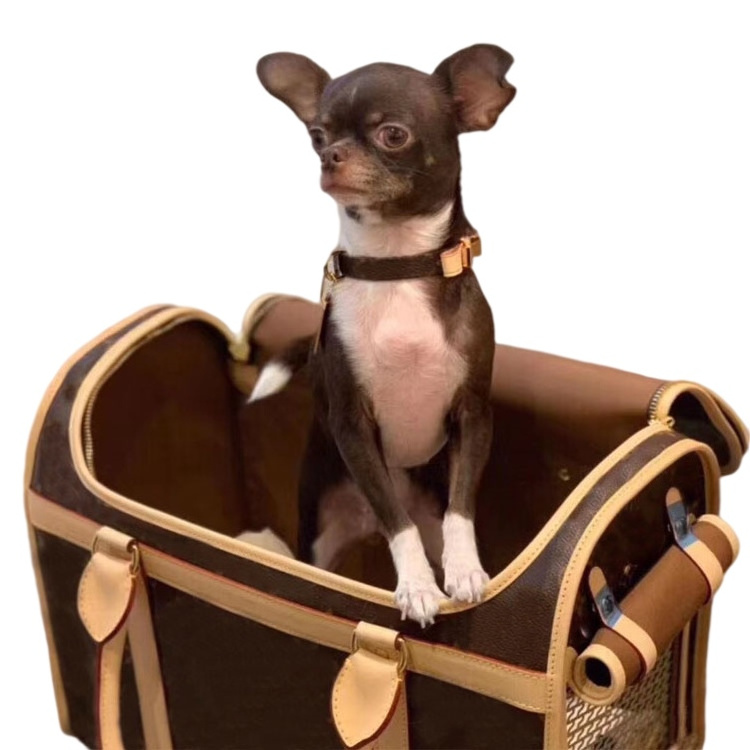 Luxury Designer Pet Carrier for small pets Dog Tote Classic Leather Dog Carry Bag Fashionable Cat Carrier Bag Pet Accessories