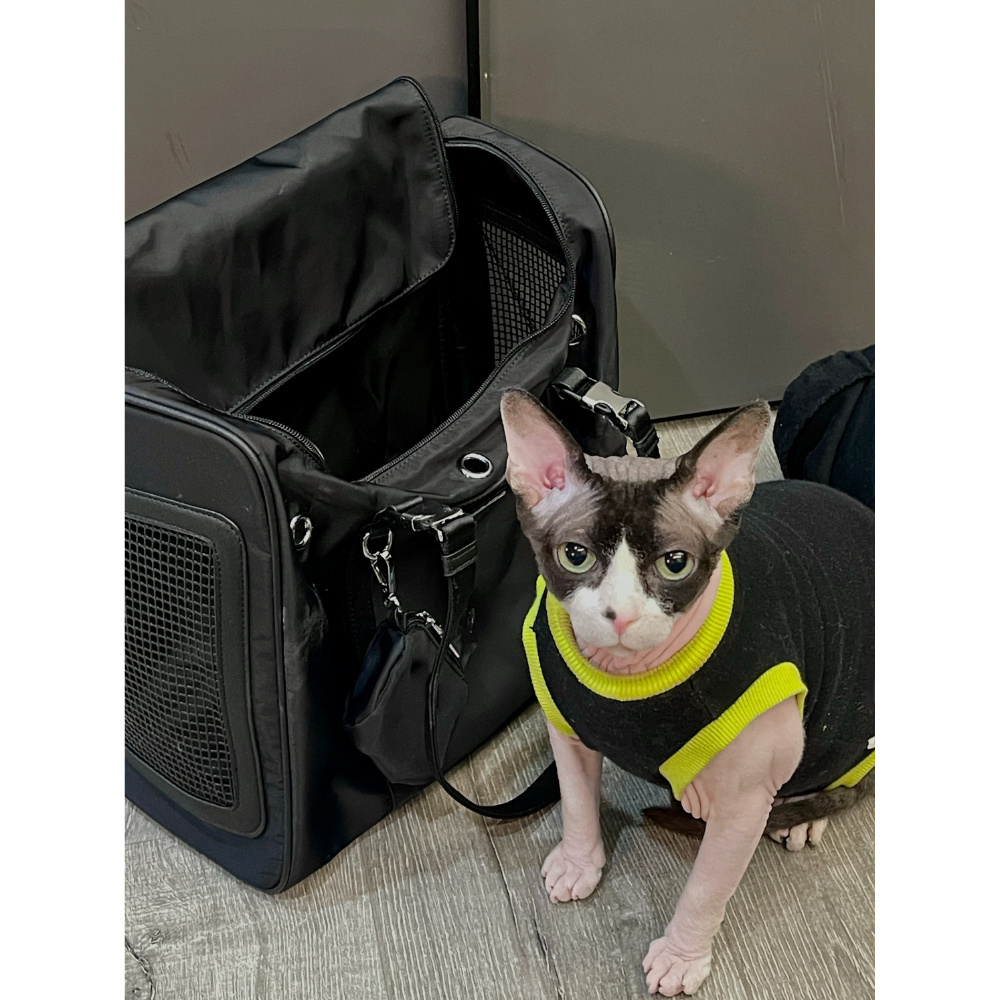 Cat Outdoor Carriers Bag Soft Side Backpack Cat Pet Carriers Puppy Travel Bags Airline Approved Transport for Small Dog Outgoing