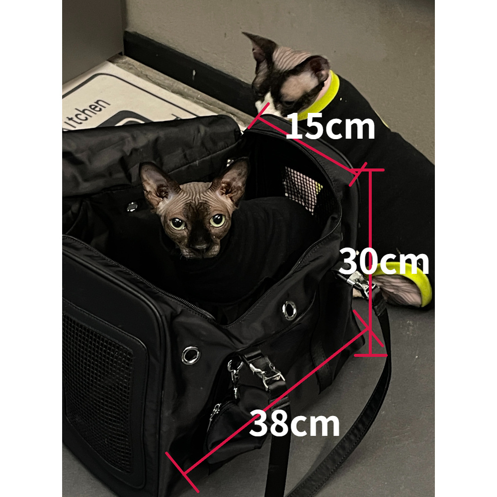 Cat Outdoor Carriers Bag Soft Side Backpack Cat Pet Carriers Puppy Travel Bags Airline Approved Transport for Small Dog Outgoing