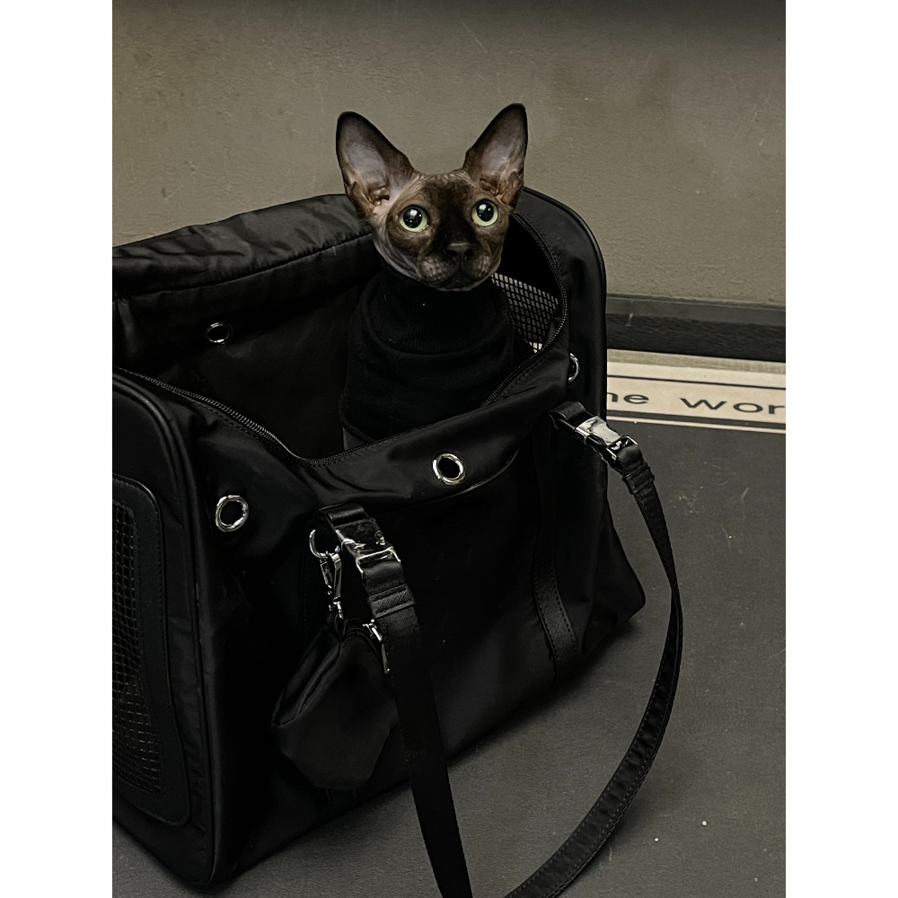 Cat Outdoor Carriers Bag Soft Side Backpack Cat Pet Carriers Puppy Travel Bags Airline Approved Transport for Small Dog Outgoing