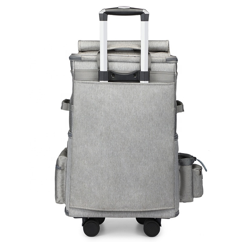 Customized Double Layers Portable Viewable Window Trolley Pet Dog Cat Backpack Luggage Box Carriers With Wheels