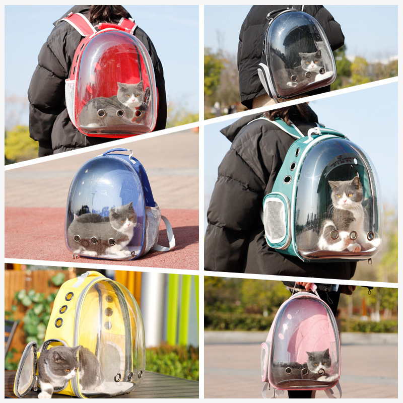 Transparency Ventilate Fashion Backpack Carriers Carry Bags Pets Cat Dog Travel Bags