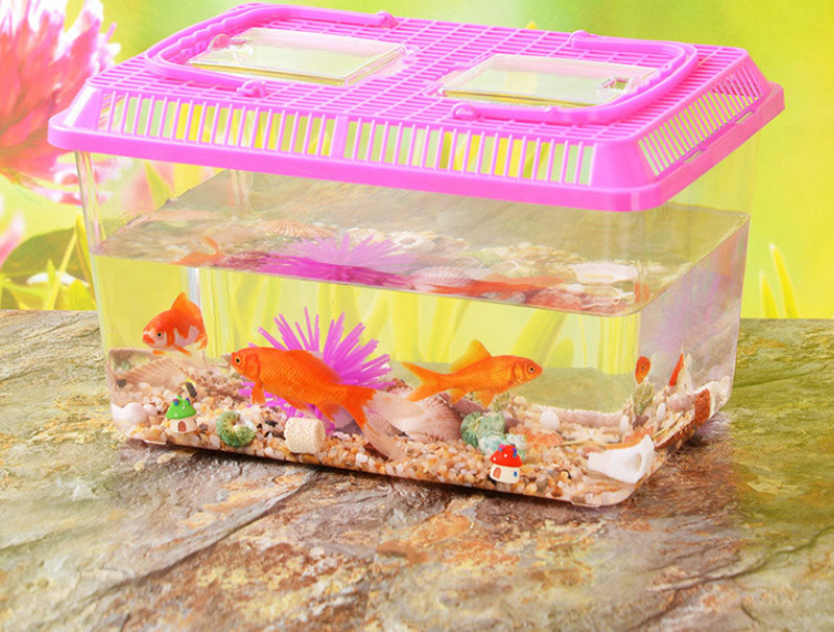 Tortoise Transport Box fish tank stone set Hamster box portable fish tanks