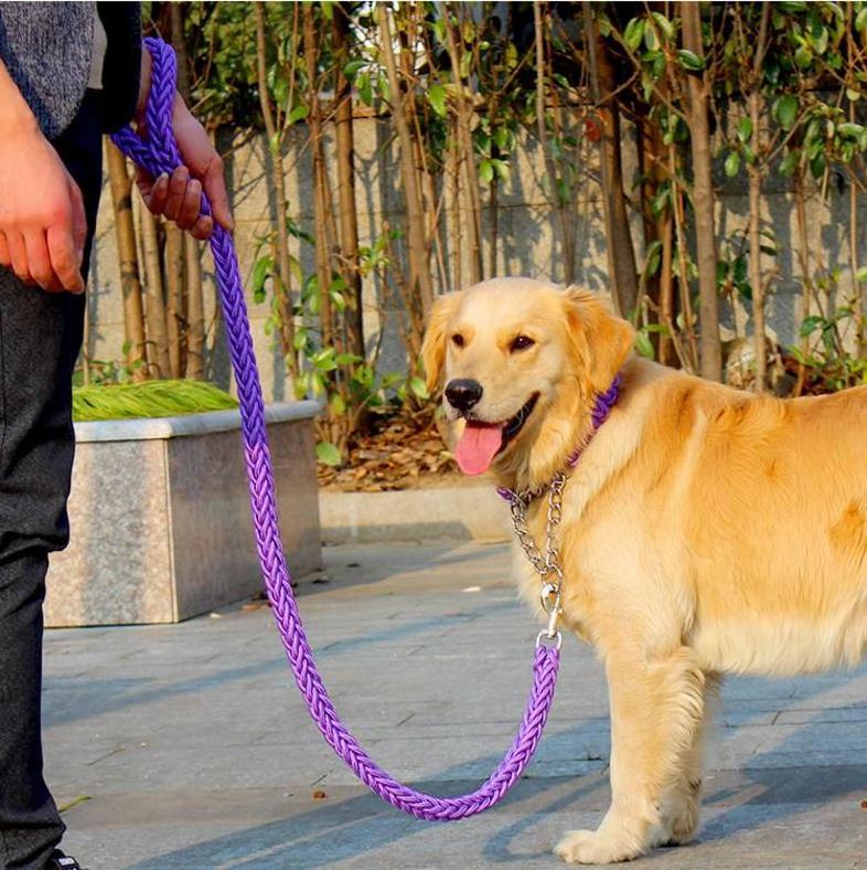 Double color nylon rope heavy duty dog leash collar chain set luxury strong dog leash collar